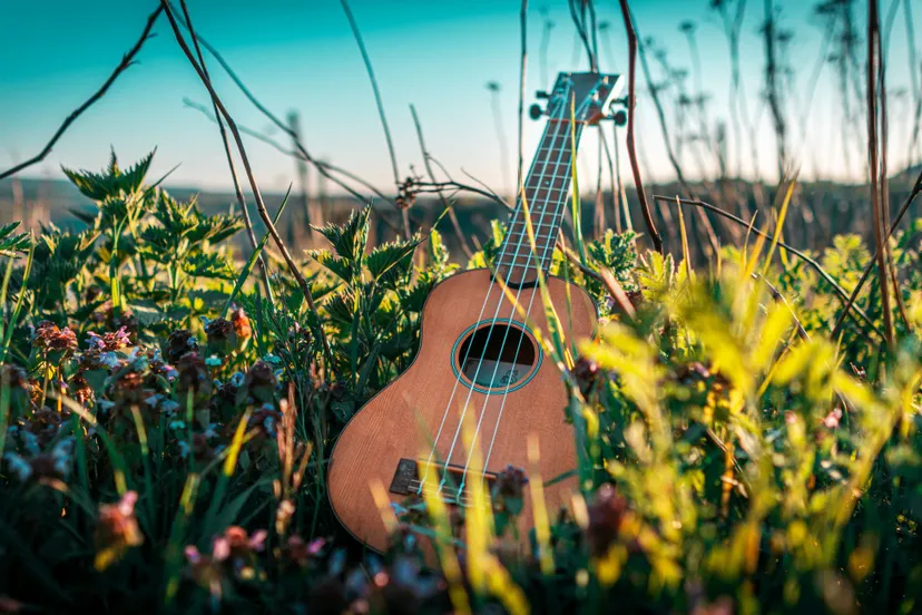 muziek ukelele zonnig de lindenberg