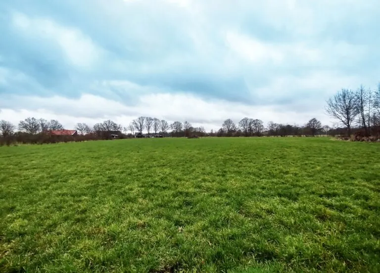 mv 2 blauwe lucht marienvelde