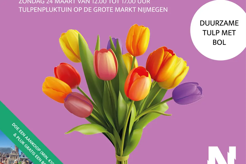 nijmegen tulpenpluktuin social