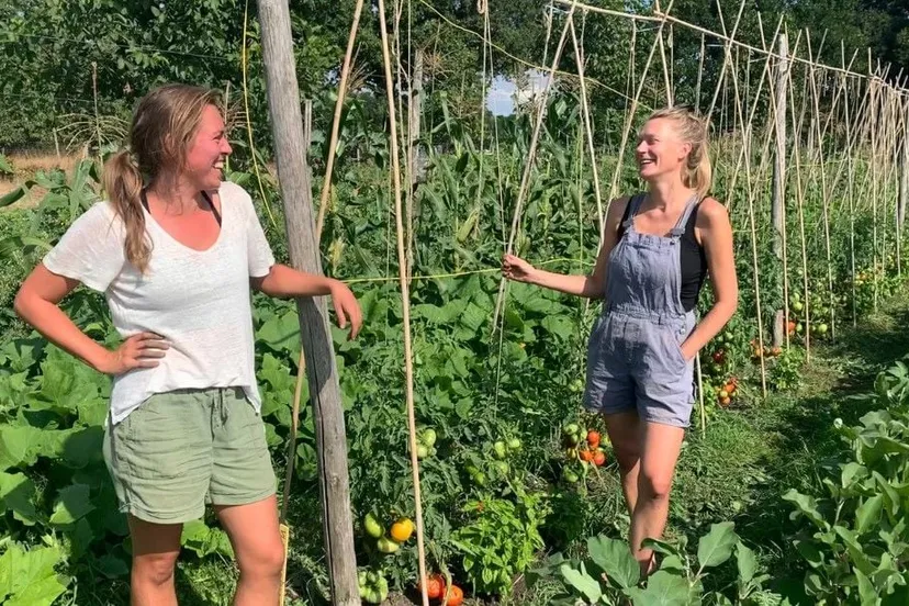 open dag 14 mei het heerlijke land