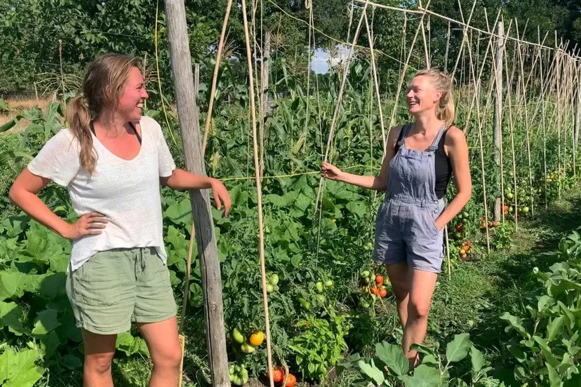 open dag 14 mei het heerlijke land