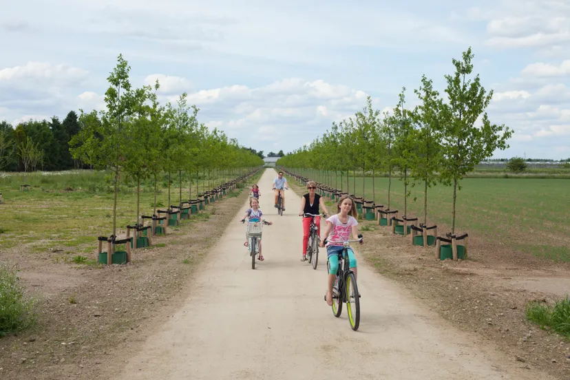 parklingezegenregioarnhemb97087f802e4a430245902188cde1b27c8a6d09b scaled