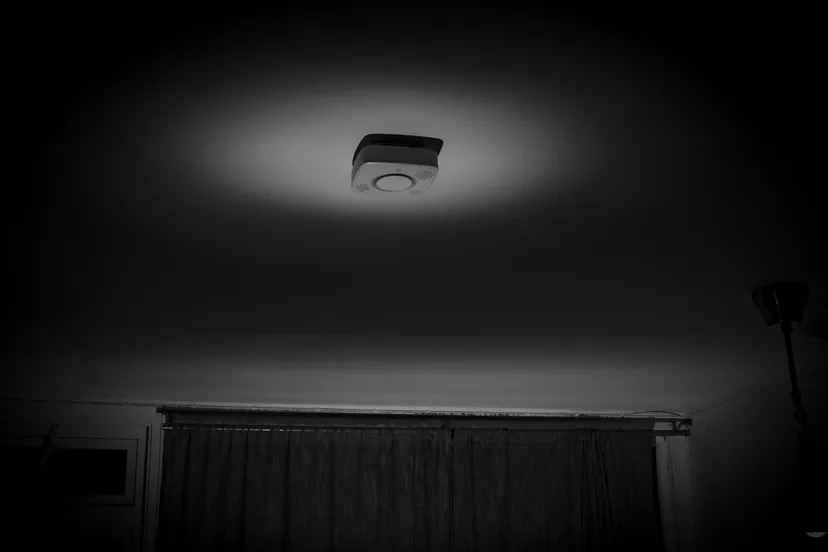 rookmelder steini1977 pixabay