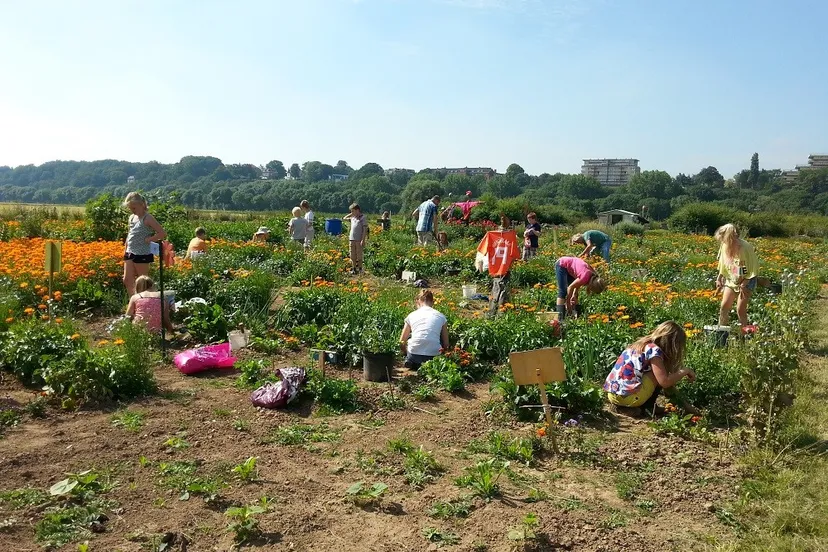 schooltuinde wielewaal