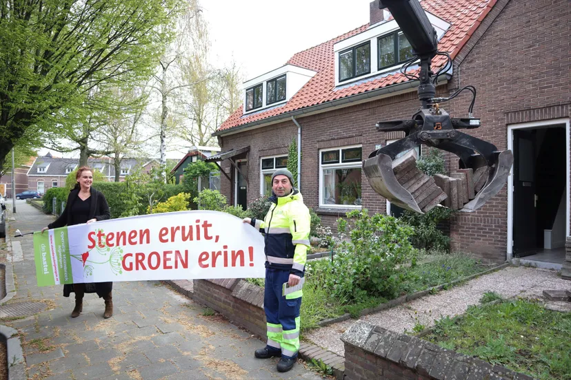 tegelophaaldagen dar en steenbreekklein