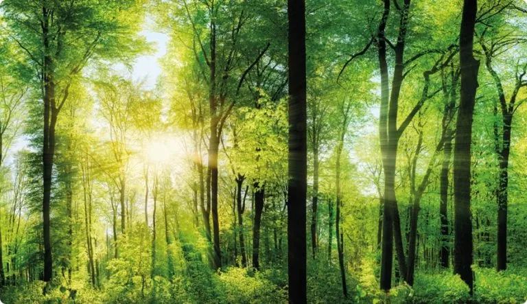 temp01 stichting nieuwe natuur 768x443 1