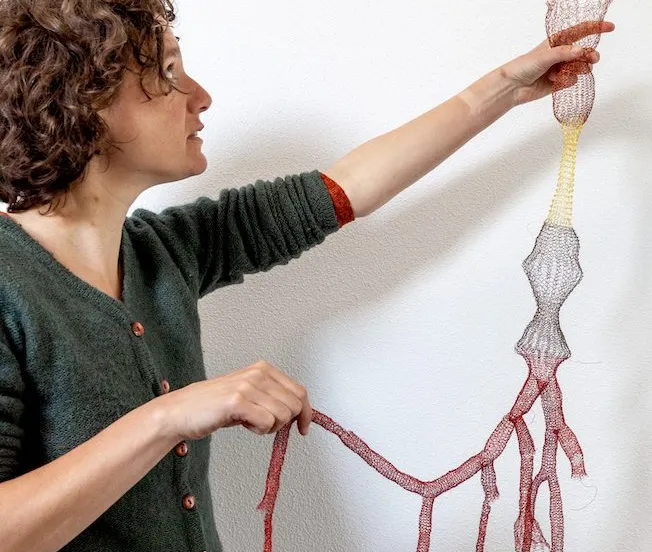 trajectblikopenersporencorinafrans