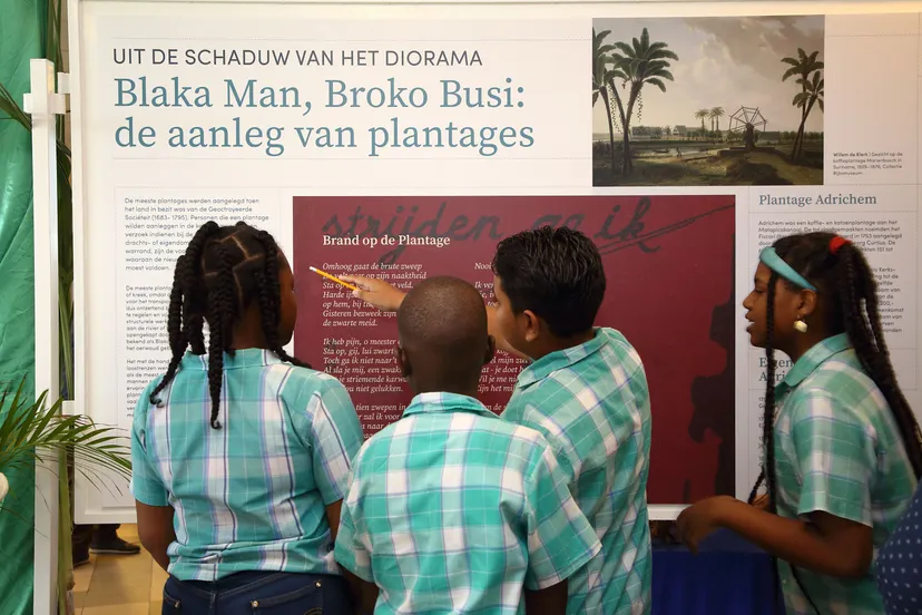 uitdeschaduw van het diorama41