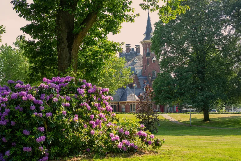 unnamed 2022 06 13t174710645 radboud universiteit