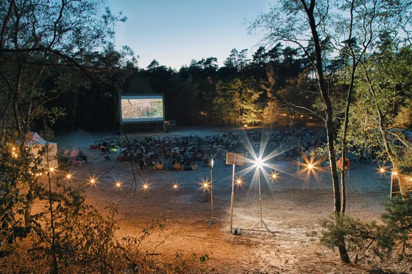 veluwse buitenvoorstellingen