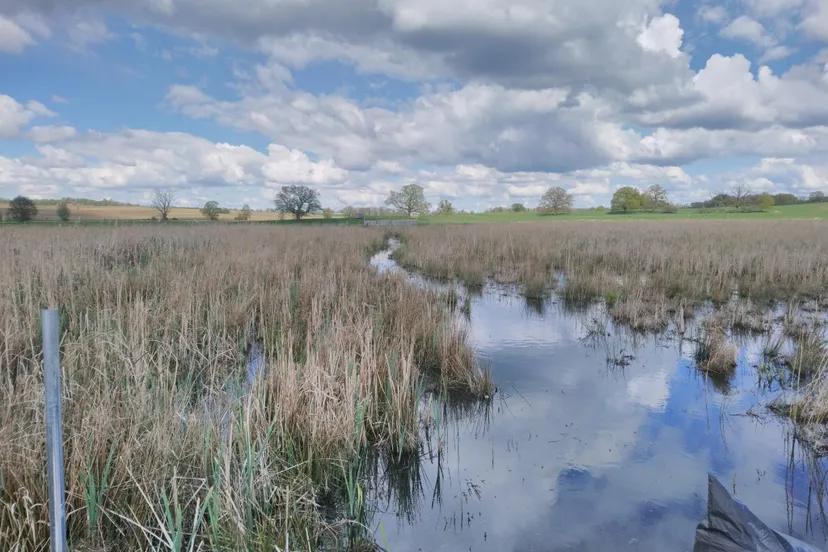 wetlands radboud universiteit