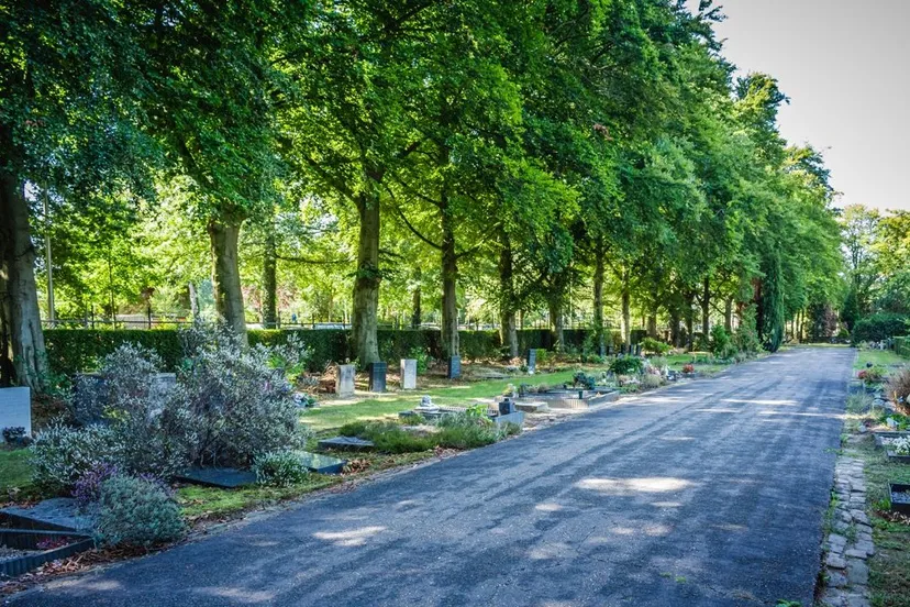 begraafplaatsennijmegenvredehof 3