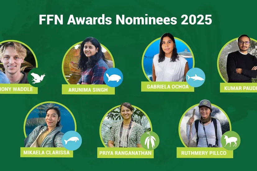 ffn genomineerden 2025