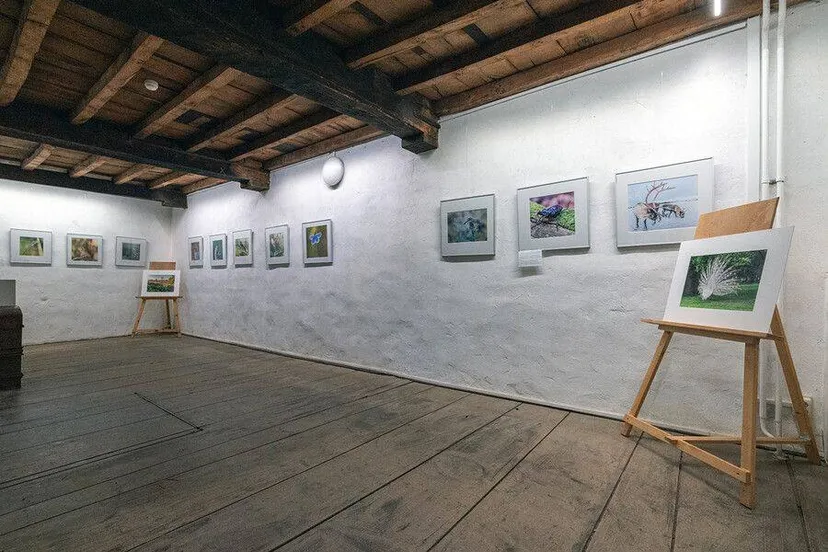 expositie ton rothengatter kasteel hernen