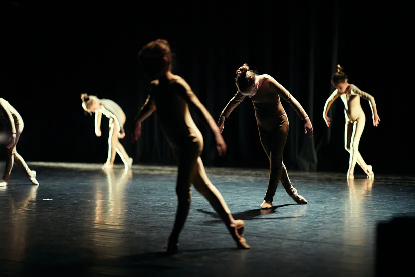 dansvoorstellinglindenberg presenteert