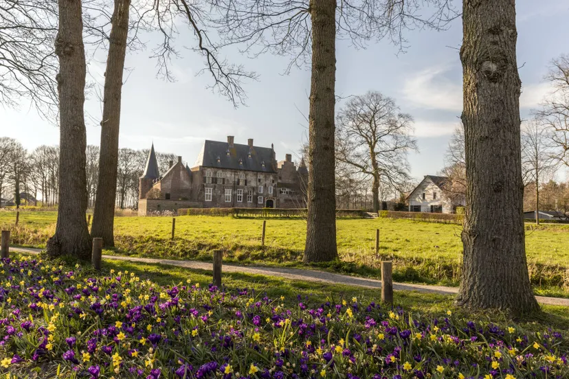 hernen kasteel ton rothengatter seizoenen