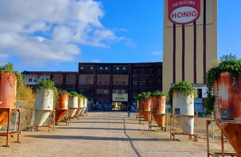 de nieuwe honig waalfront gem nijmegen8