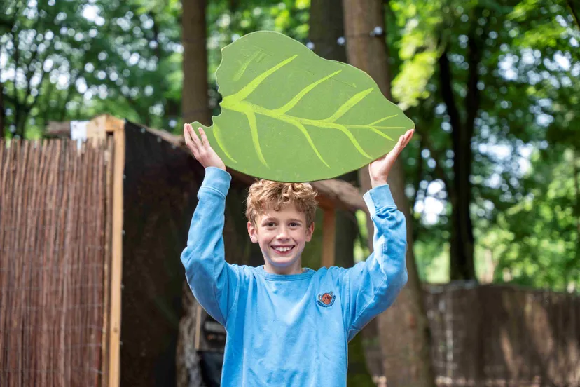 doolhof bladsnijdermieren 3