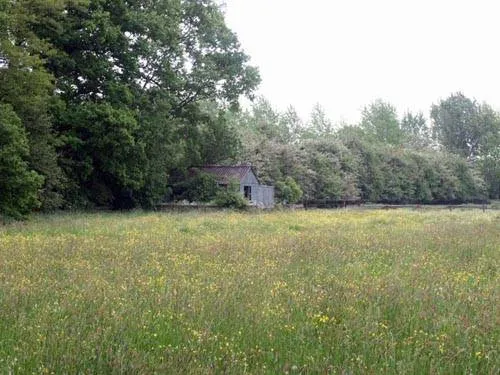 Oosterhoutse bos weide-bos VWG