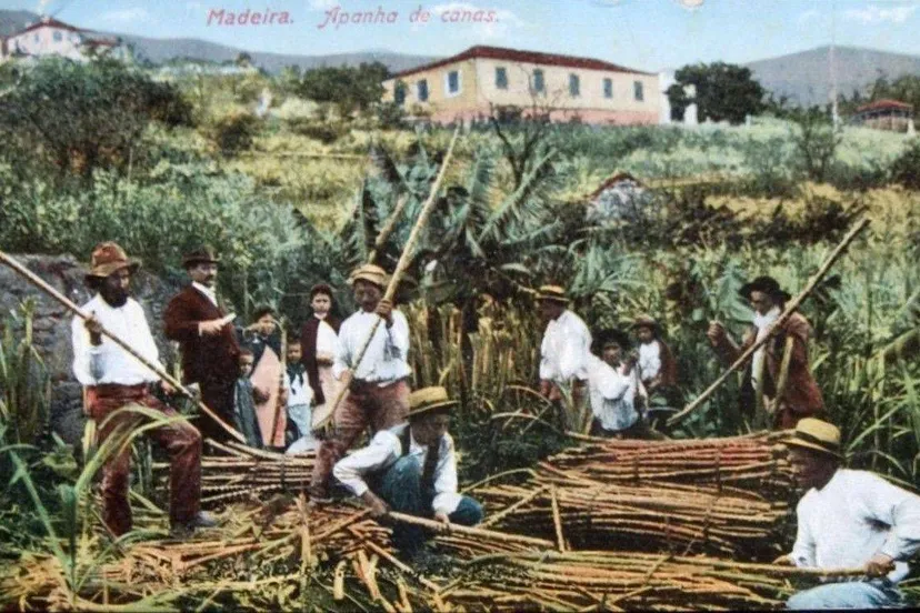 Madeiran descendants in Suriname-2