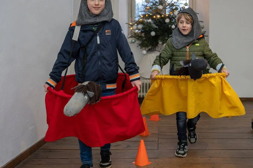 Ridder-gezocht-hernen