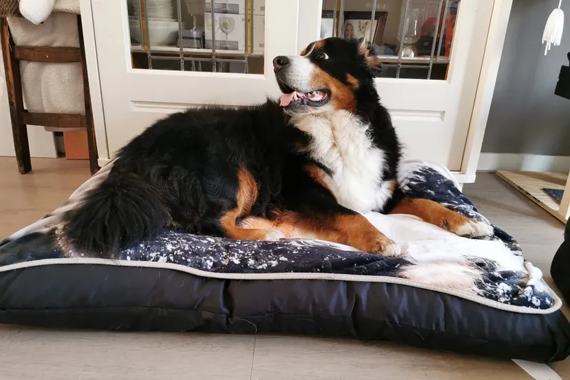 119399334 10225059702218676 8222171157570440075 o