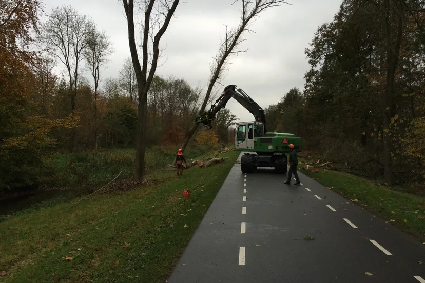 161110 essentaksterfte