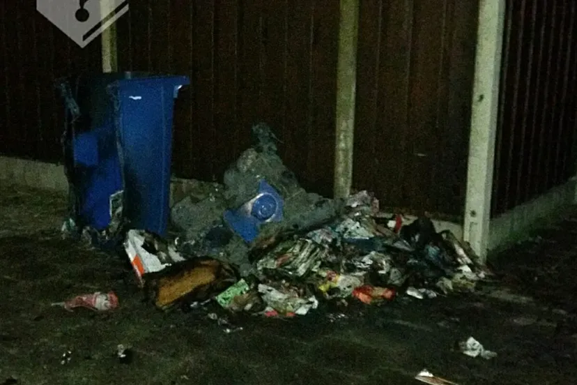 18664165 1892763090990287 2104958710955853277 n