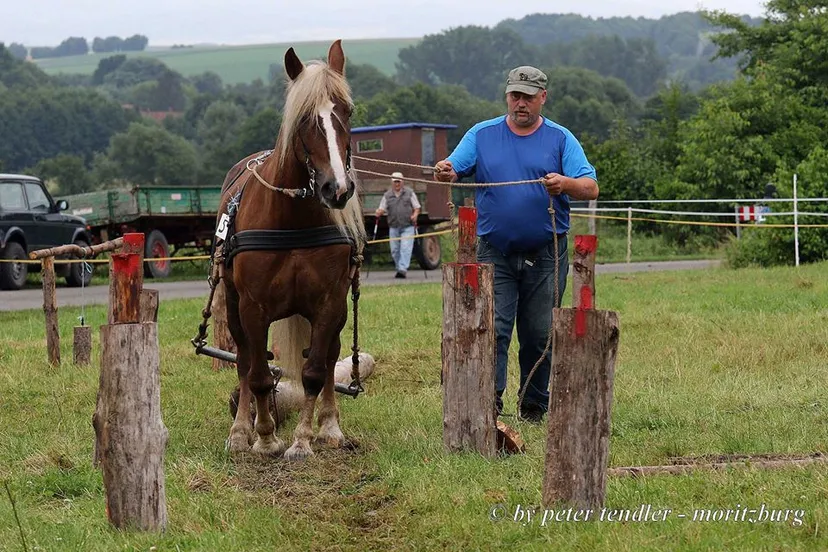 19665131 819251461582516 8392431829505100515 n