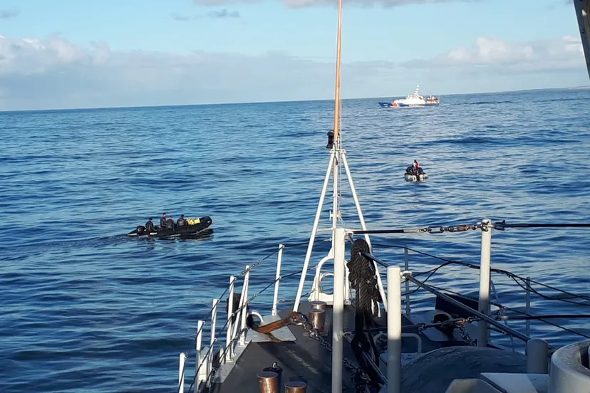 1d9a3774 1325 42ab a85f 672061520305