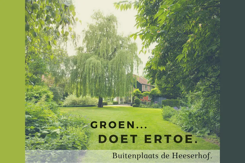 20180302 groen maritte van hees