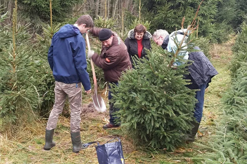 20181208 120024 1574143086500 resized e1574163716567