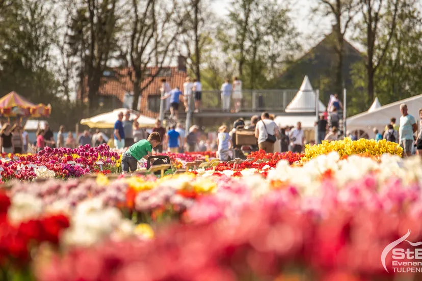 2019 tulpenfestival
