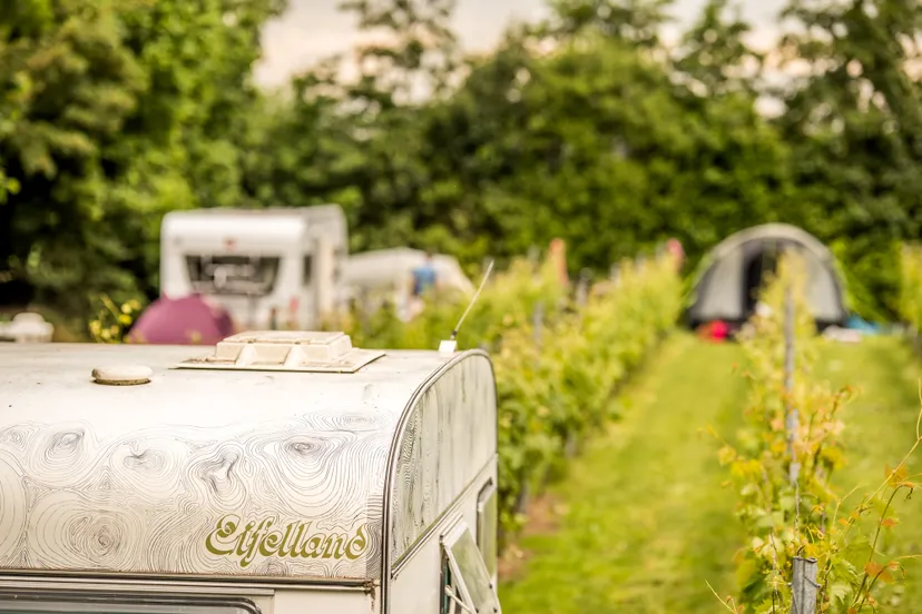 201906 uit je tent web sjors evers 058