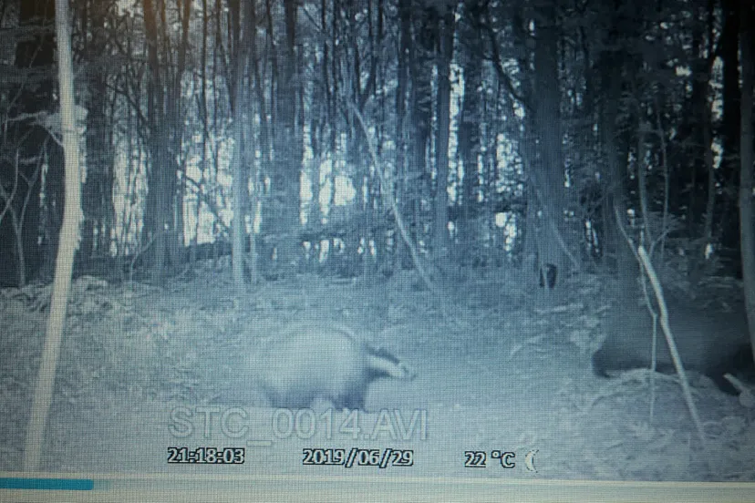 20190709 182212 resized