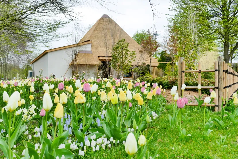 20220420 satoyama farm garden floriade expo 2022 5