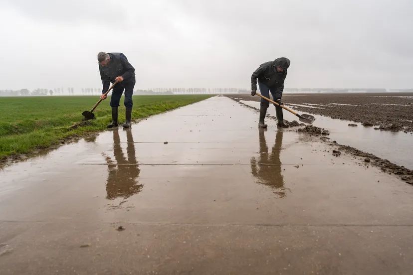 20240516 lezing wortels