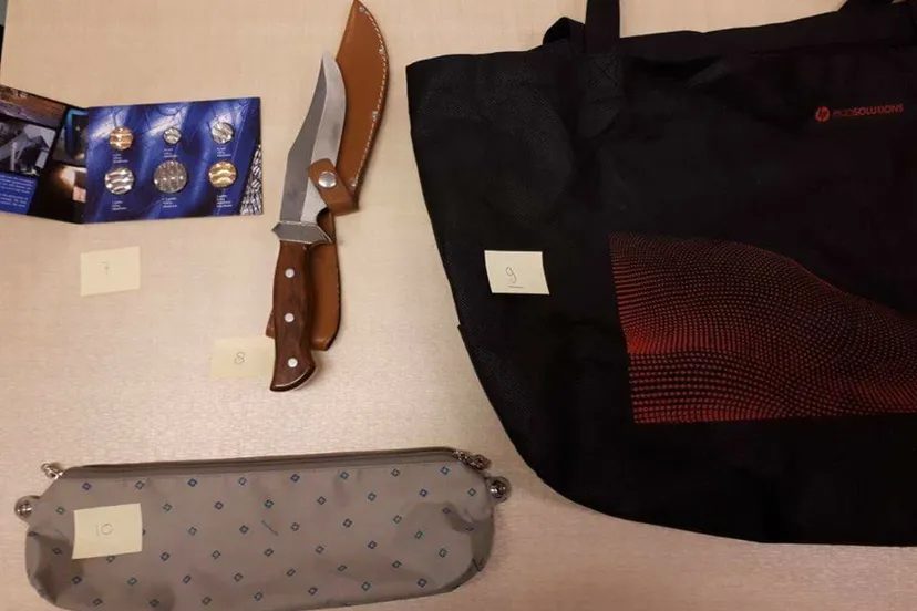 23843557 1983764398556822 7137469830694812586 n