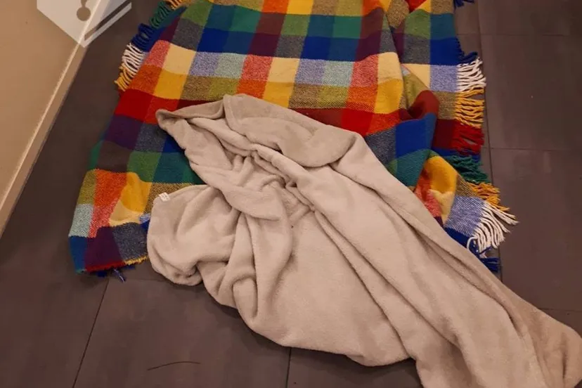 26804797 2024721737794421 4508702804606490889 n