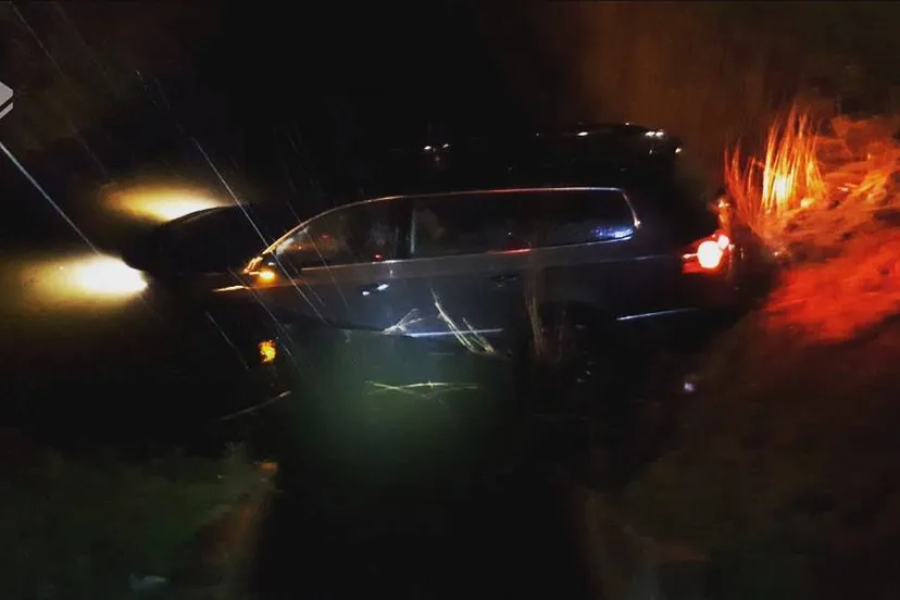 26849997 2026046457661949 5407439917933329865 o