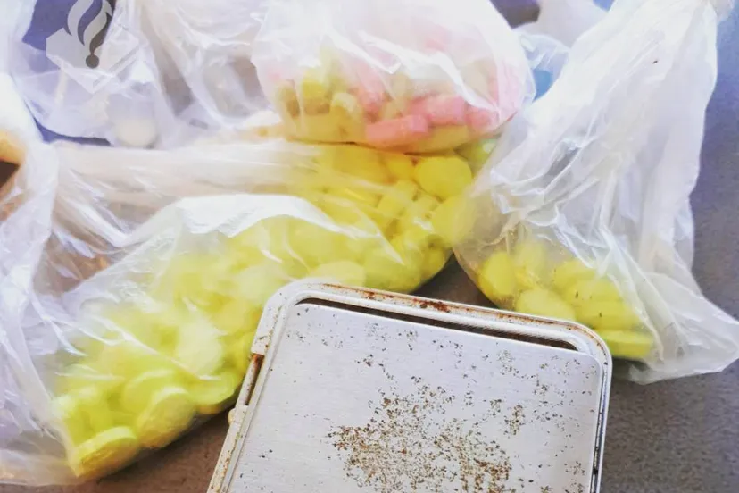 28234910 2043667635899831 4230127145615341672 o