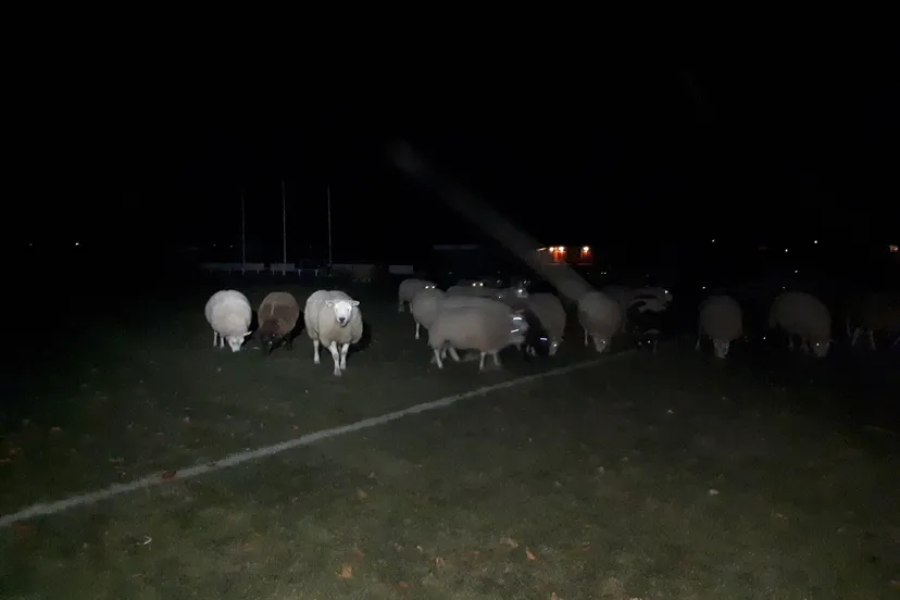 28616691 2049523678647560 8091453163974576300 o