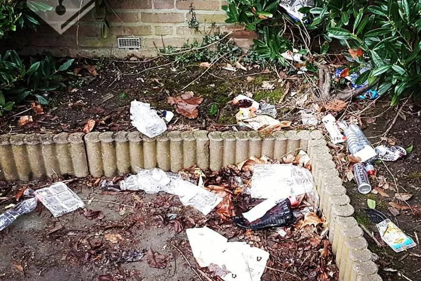 29314164 2057390341194227 4927219391633307291 n