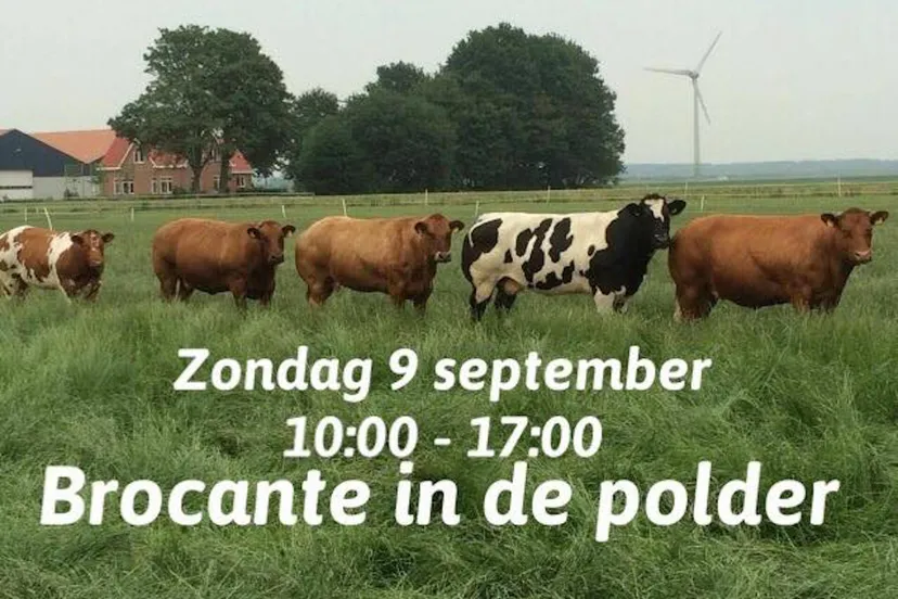 36176457 205887430241742 6547331214984871936 n