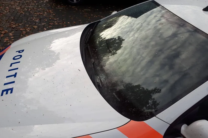 46024693 2238323989767527 8456228806921814016 o