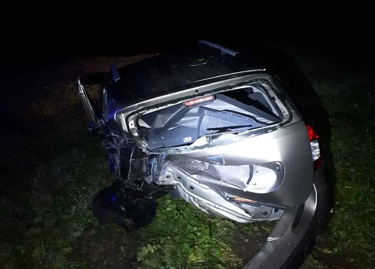 48404158 2262771603989432 5971544248560910336 n