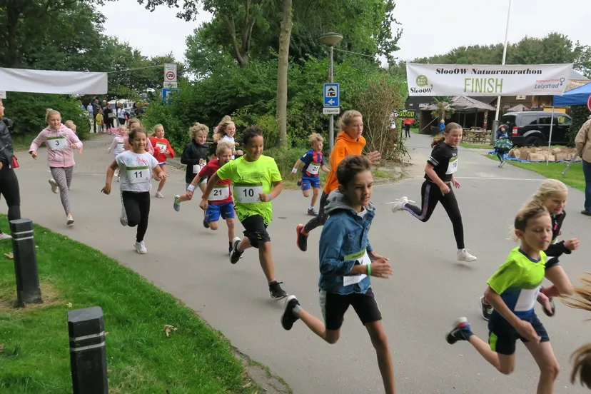 51425911866 0b5d765fe7 3k