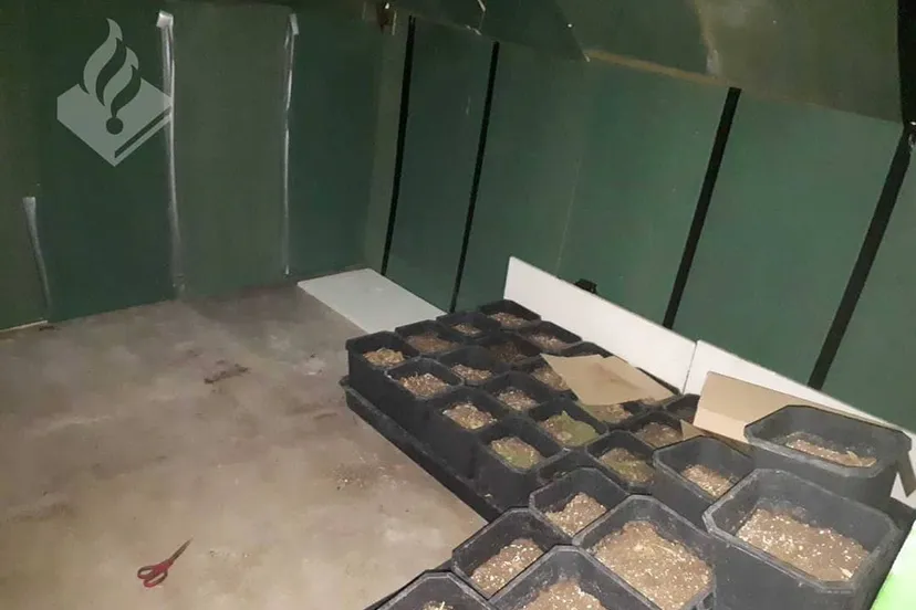 56580406 2331250363808222 737017427375685632 o