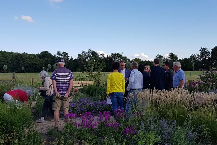 65852355 2877920895613819 7522710088813903872 o