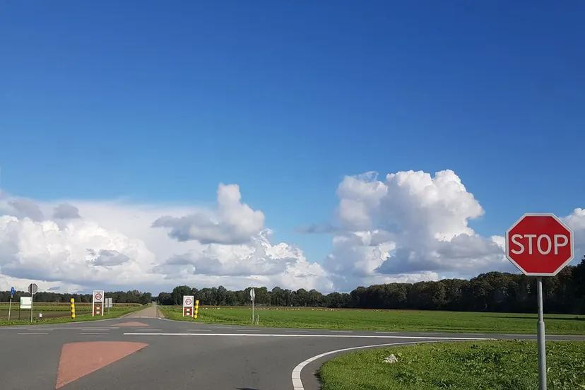 71867907 1187764564745386 6398803832775639040 o